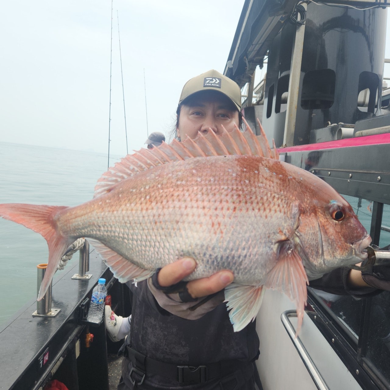 사용자가 올린 이미지