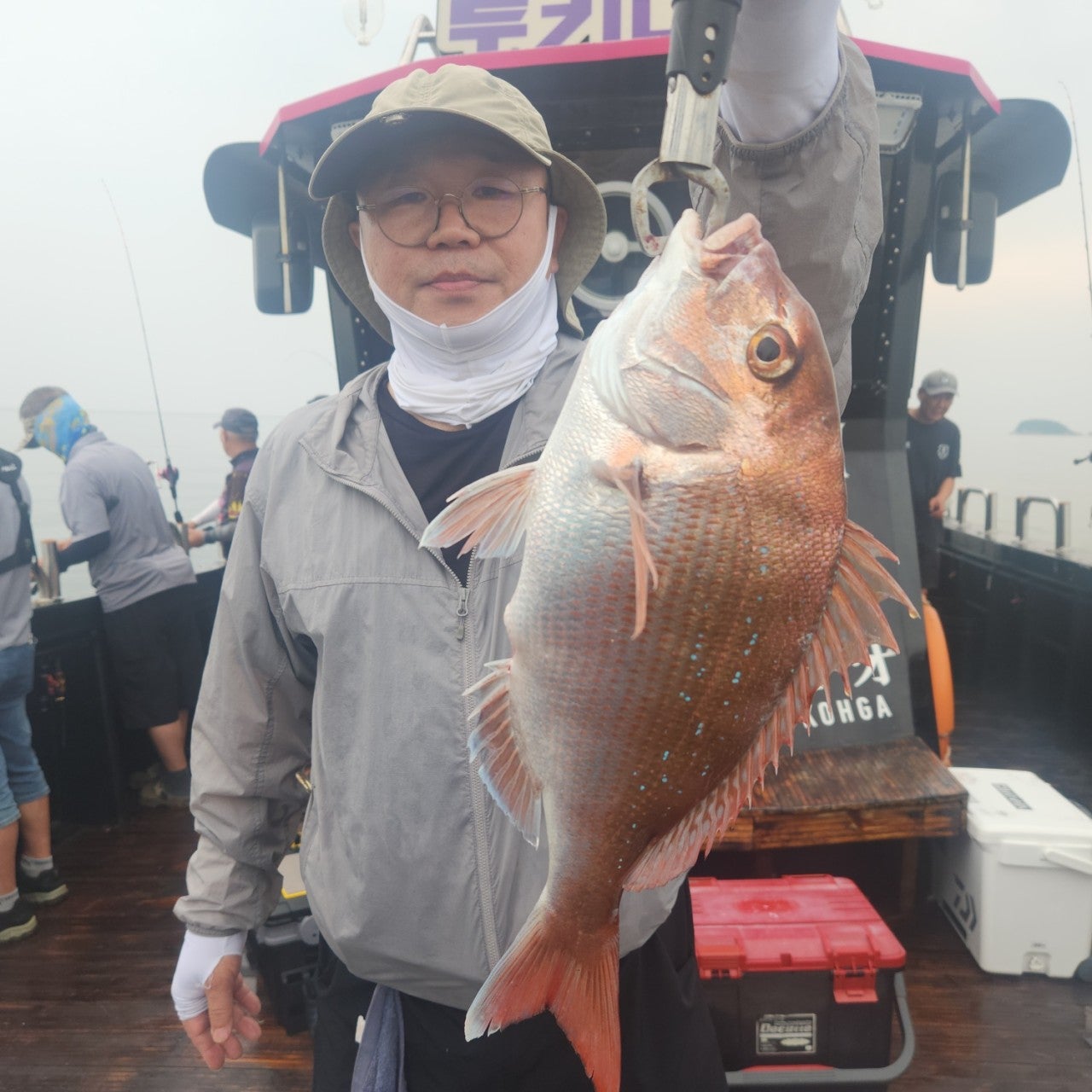 사용자가 올린 이미지