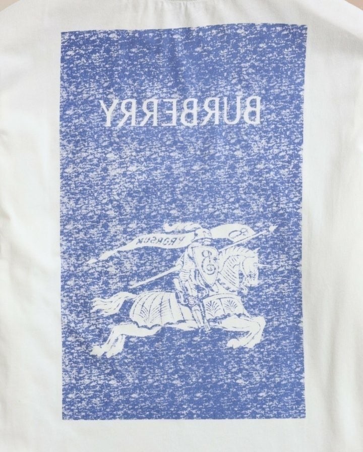6_jg9Ud018svc1pyulrtsp95hs_4144s3.jpg