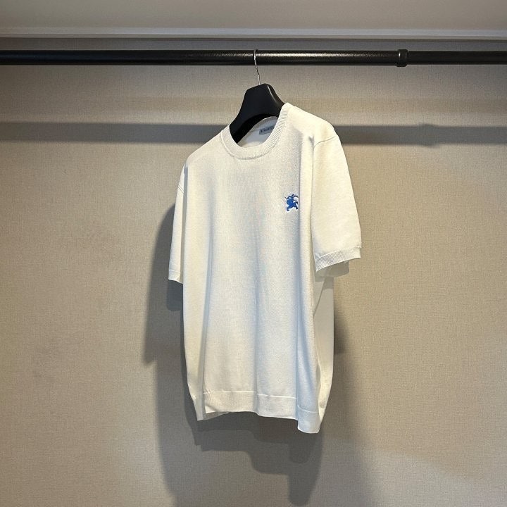 aa.jpg