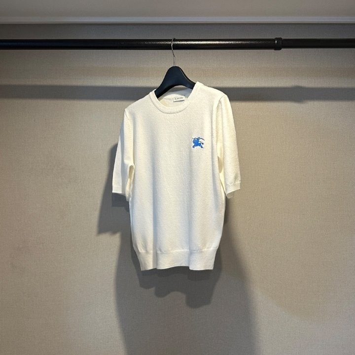 aa.jpg