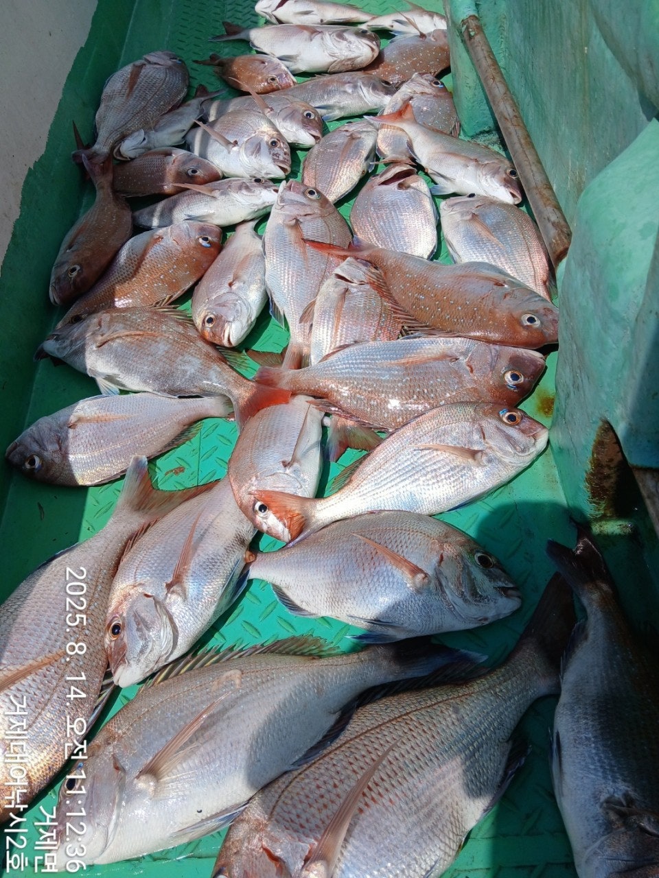 사용자가 올린 이미지