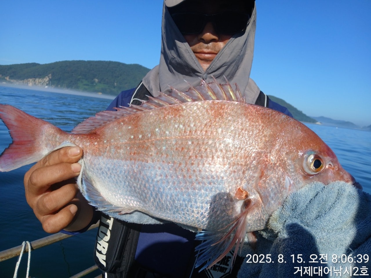 사용자가 올린 이미지