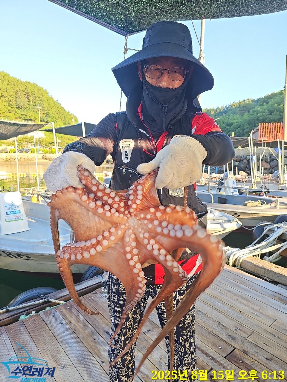 사용자가 올린 이미지