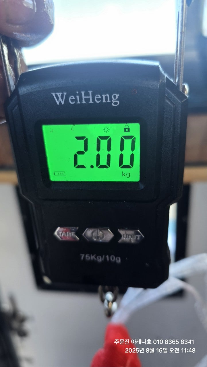 사용자가 올린 이미지