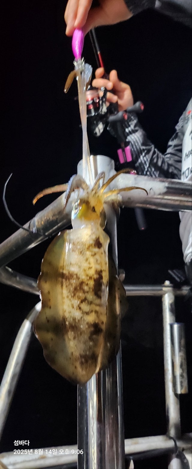 사용자가 올린 이미지