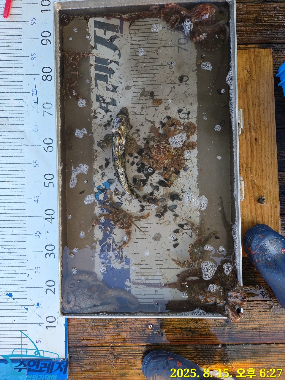 사용자가 올린 이미지