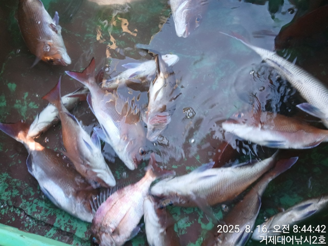 사용자가 올린 이미지