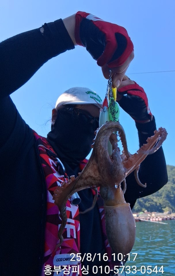 사용자가 올린 이미지