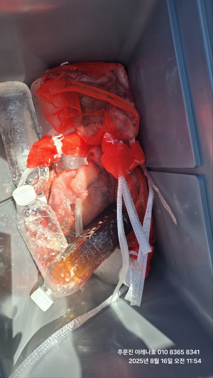 사용자가 올린 이미지