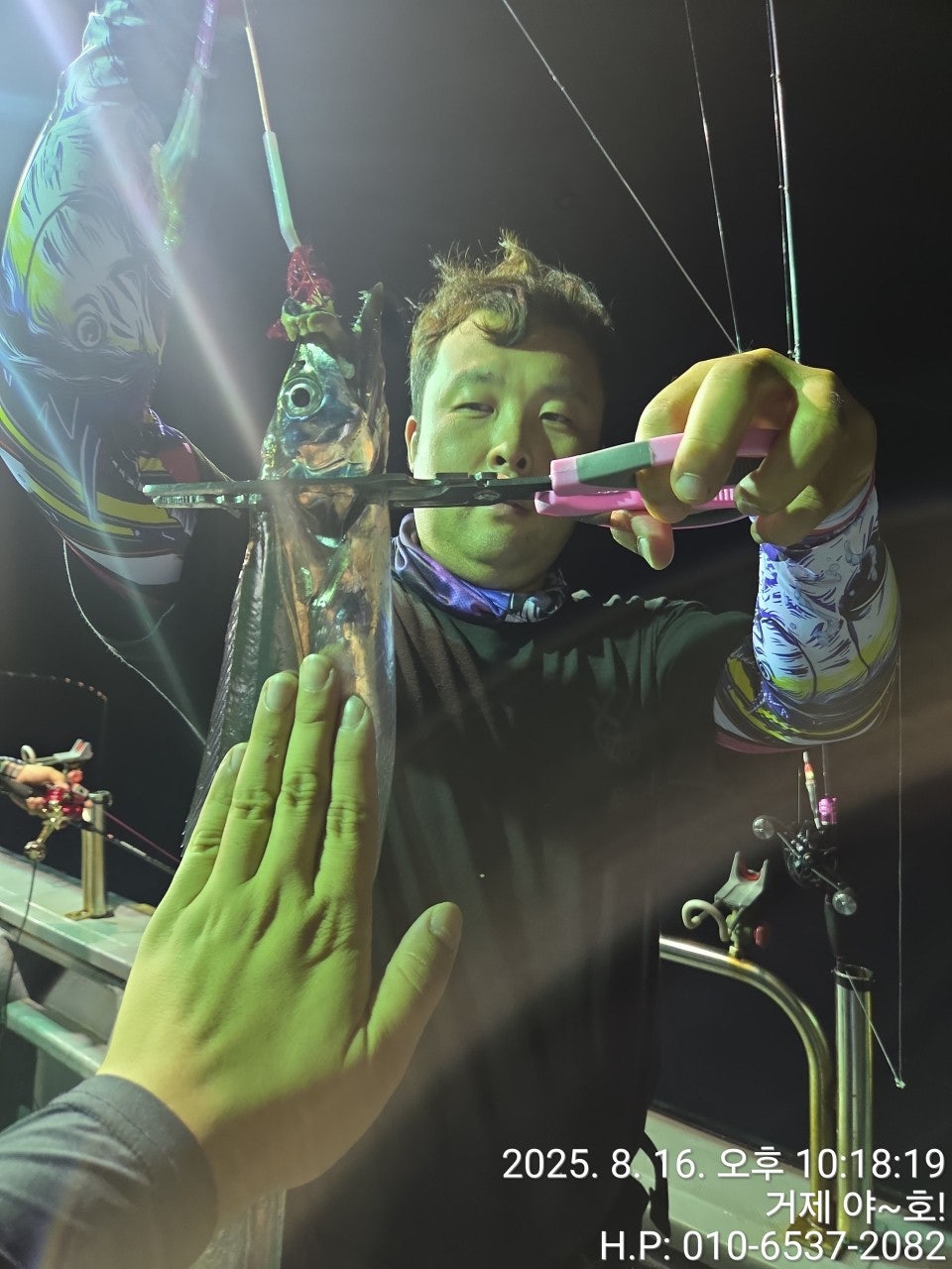 사용자가 올린 이미지