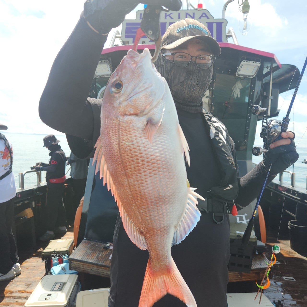 사용자가 올린 이미지