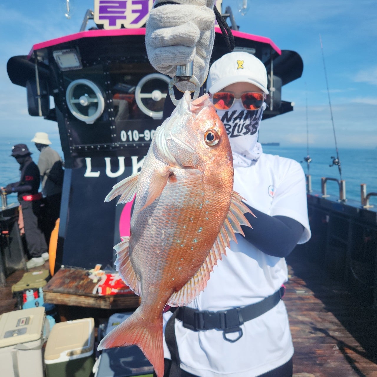 사용자가 올린 이미지