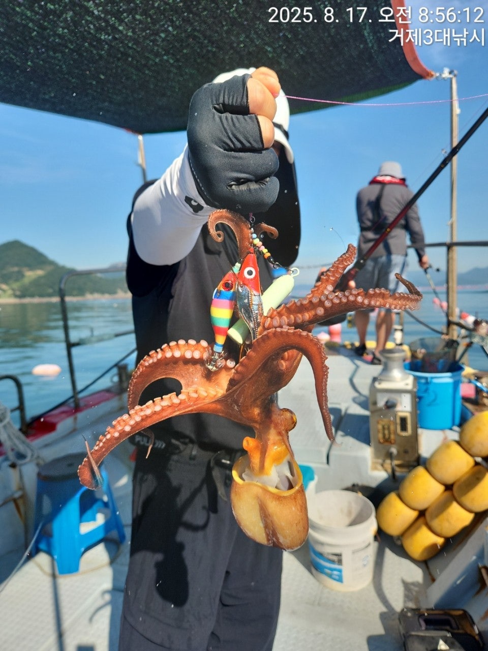 사용자가 올린 이미지
