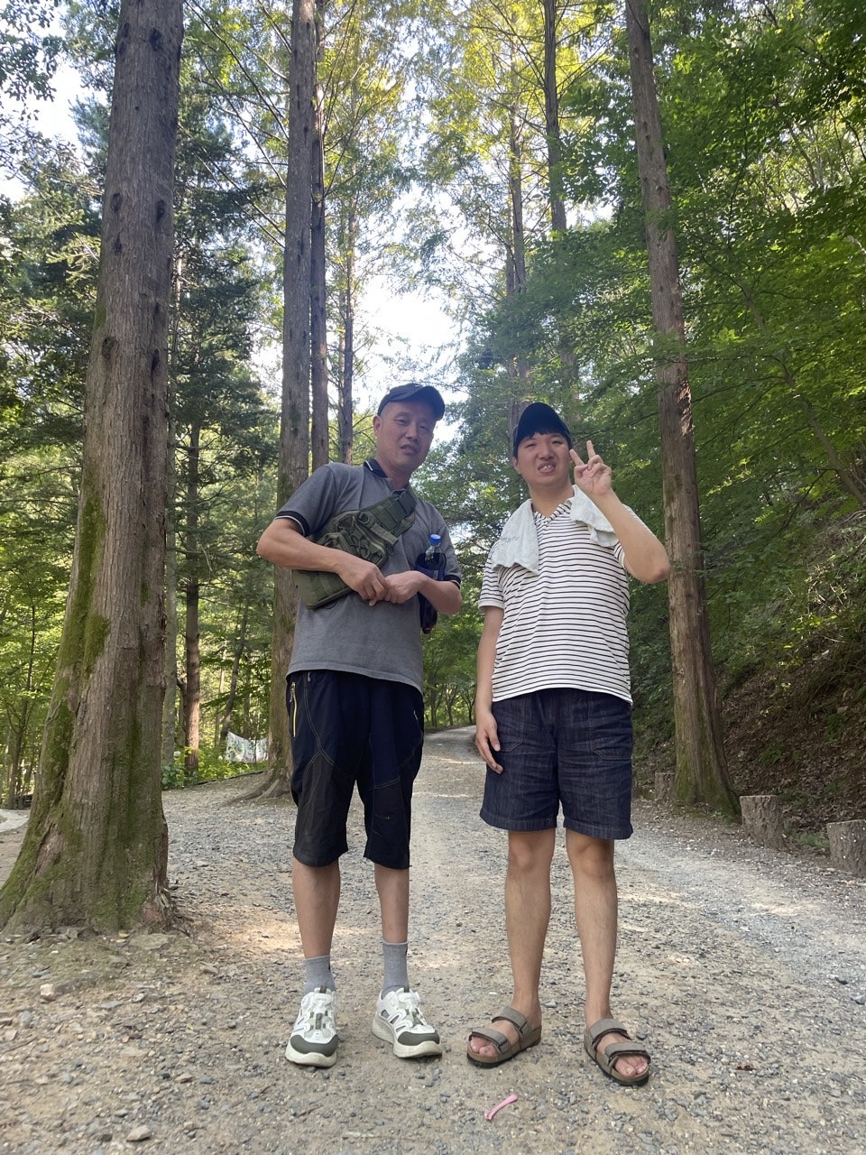 사용자가 올린 이미지