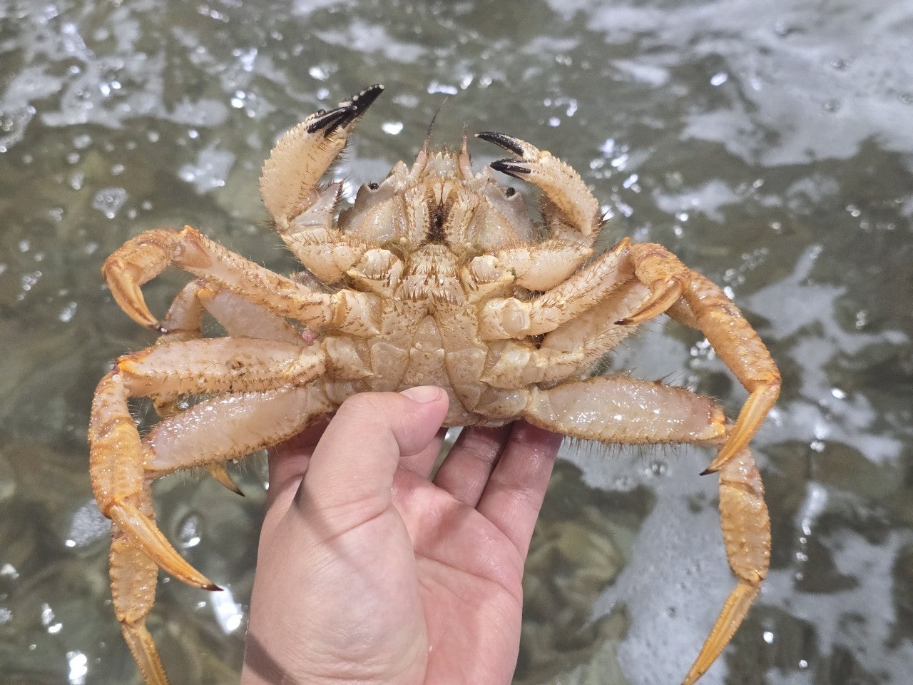 사용자가 올린 이미지