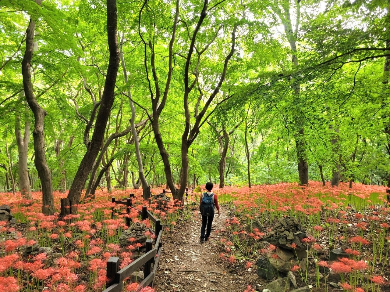 사용자가 올린 이미지