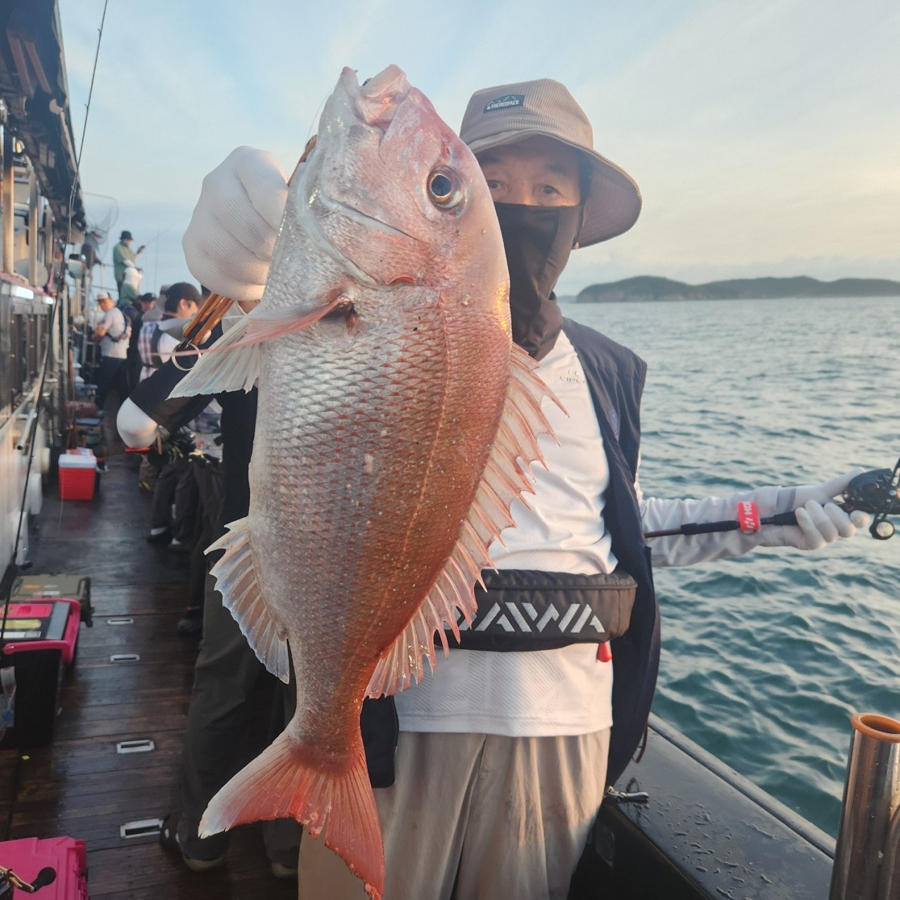 사용자가 올린 이미지
