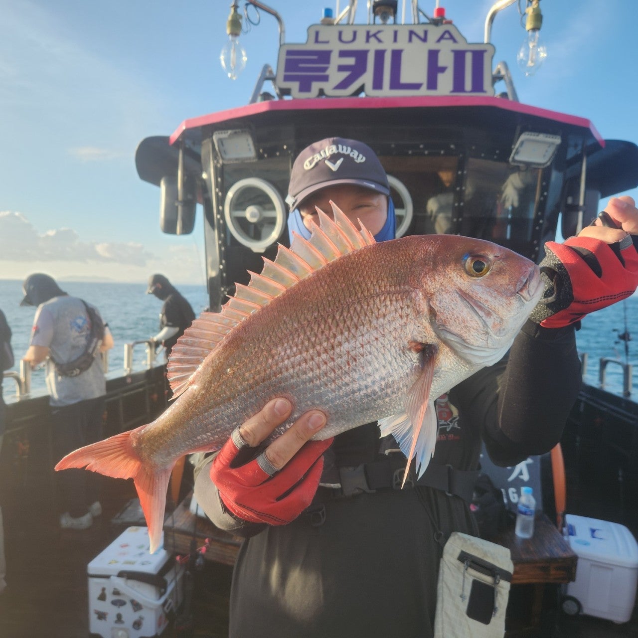 사용자가 올린 이미지