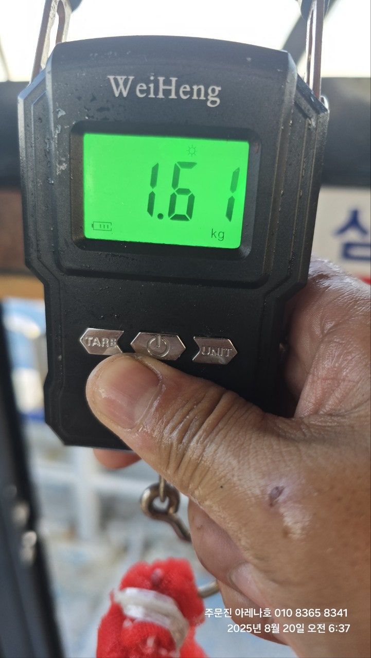 사용자가 올린 이미지