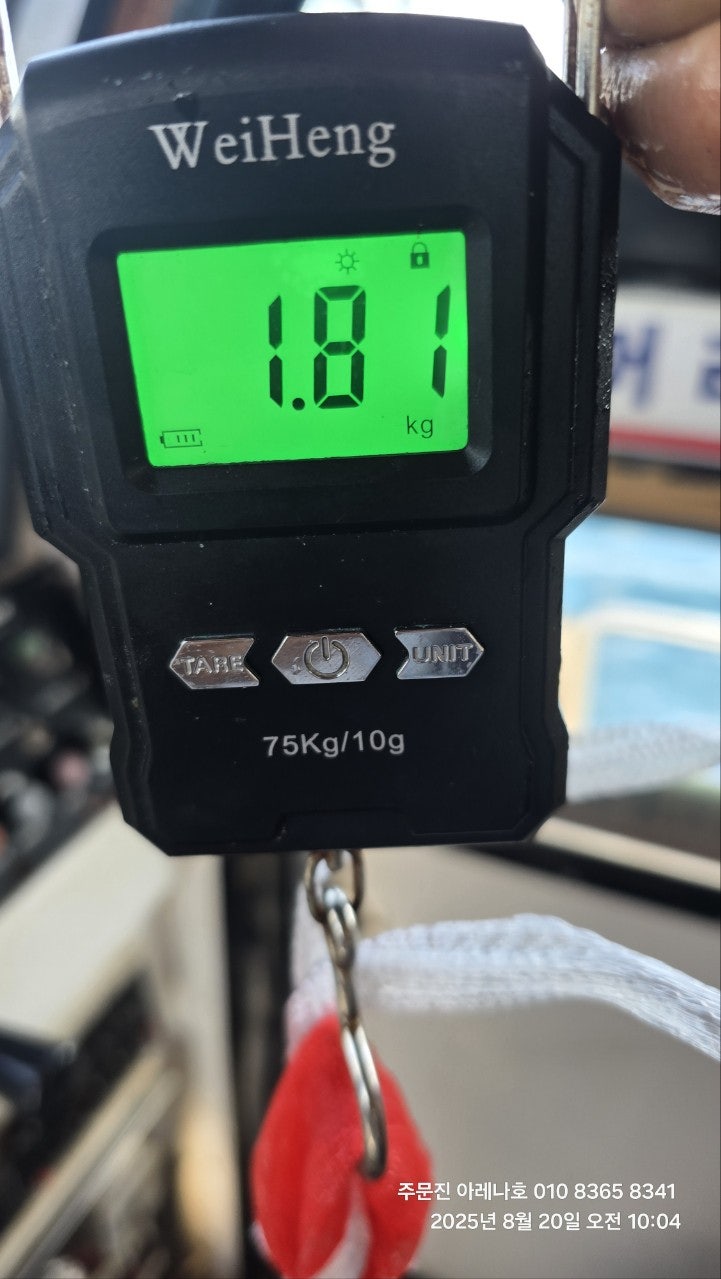 사용자가 올린 이미지