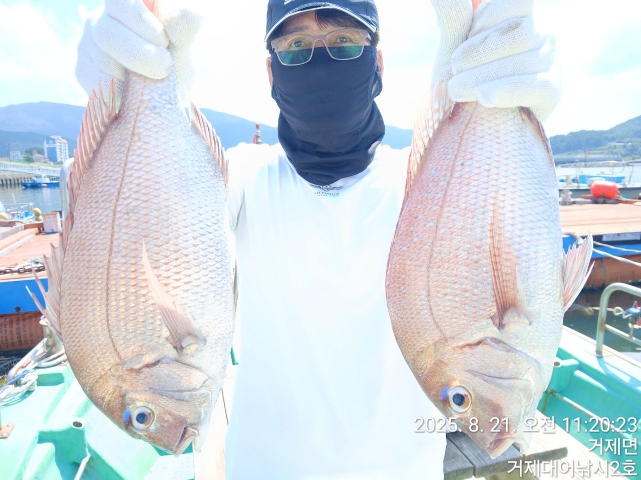 사용자가 올린 이미지