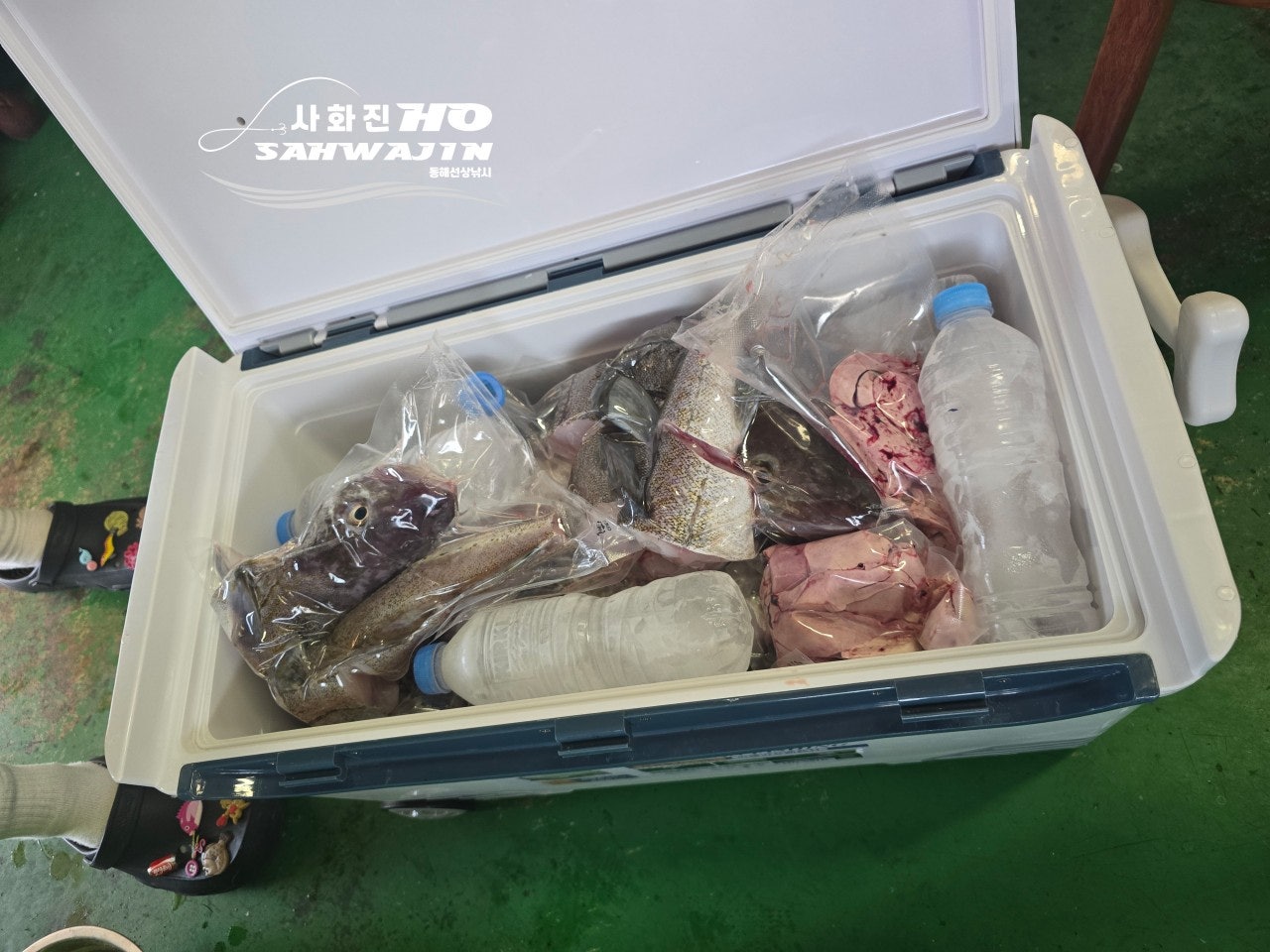 사용자가 올린 이미지