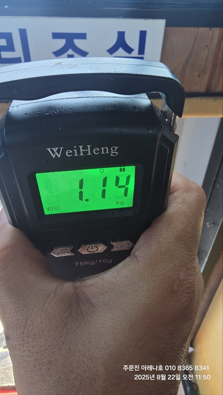 사용자가 올린 이미지