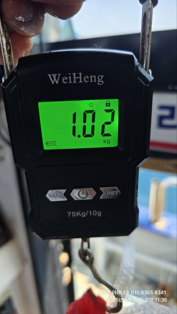 사용자가 올린 이미지