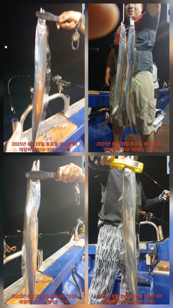 band images