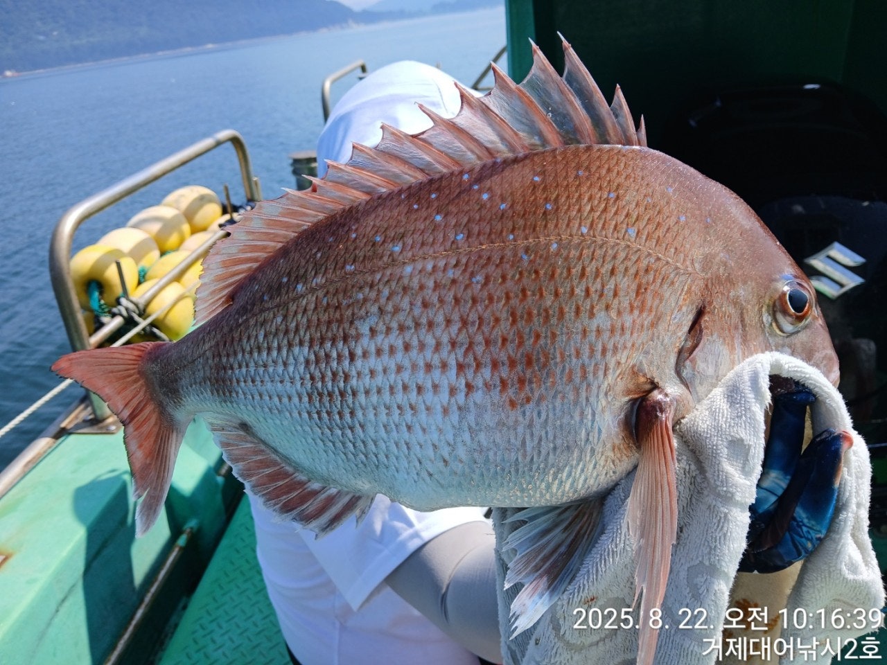 사용자가 올린 이미지