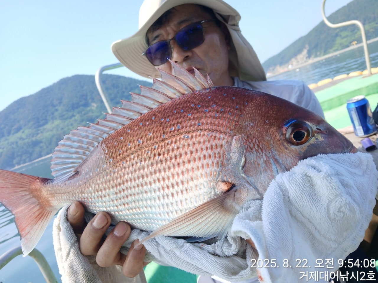 사용자가 올린 이미지