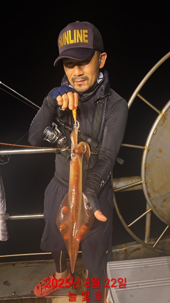 band images