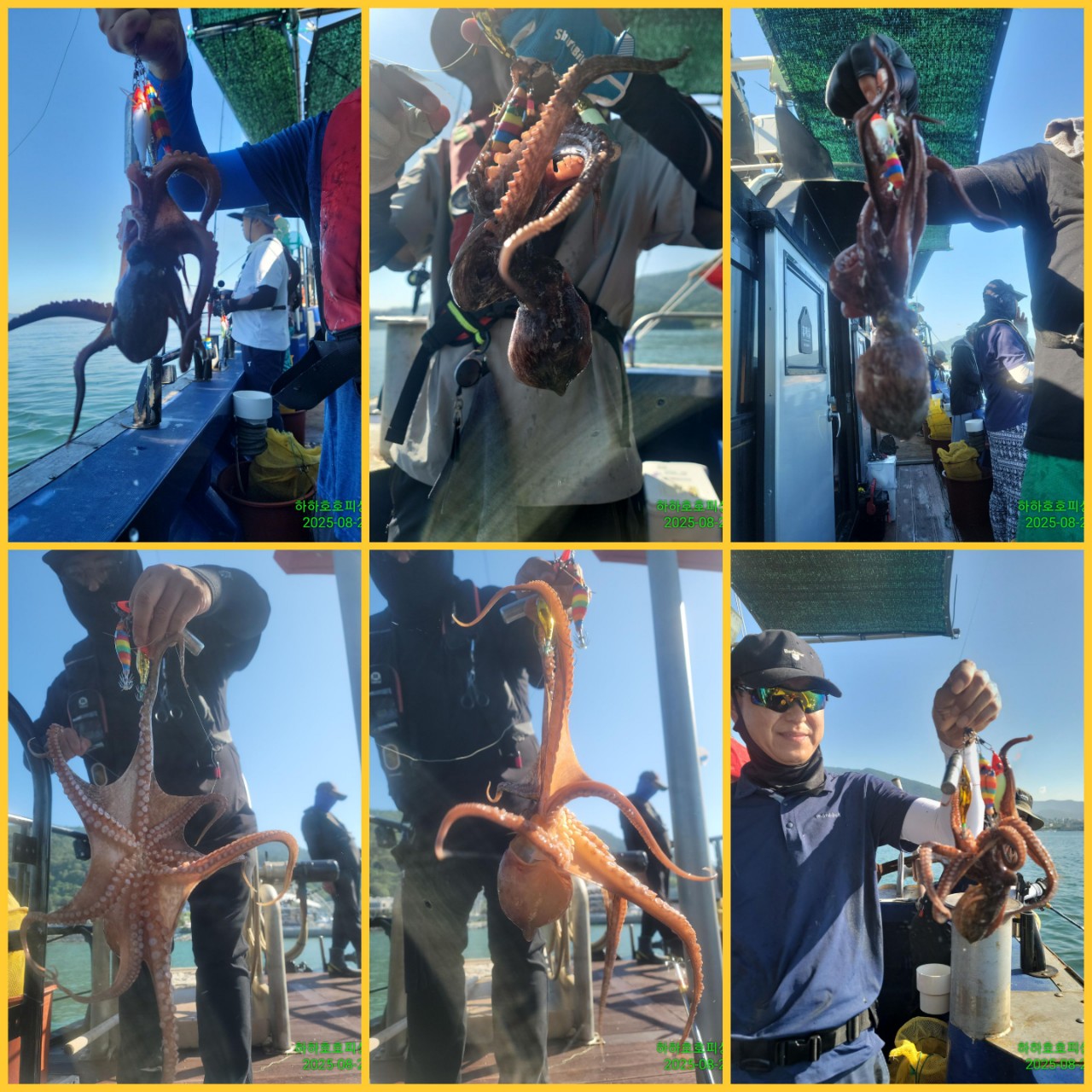 band images