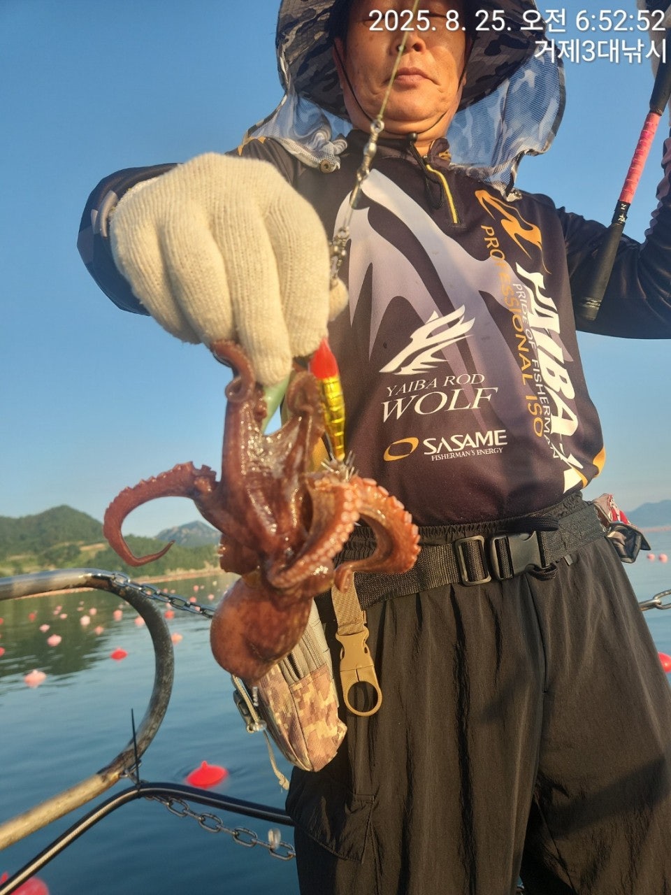 사용자가 올린 이미지