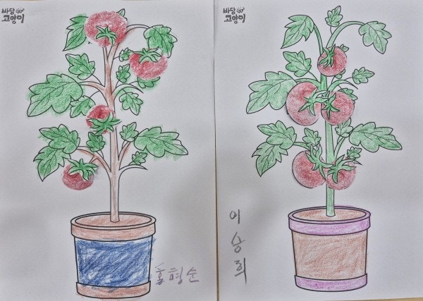 사용자가 올린 이미지