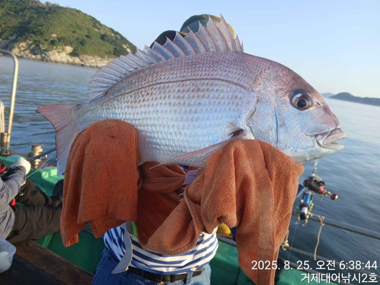 사용자가 올린 이미지