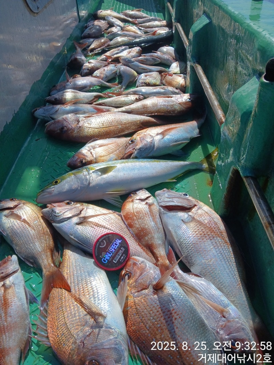 사용자가 올린 이미지