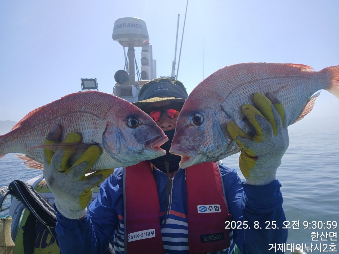 사용자가 올린 이미지