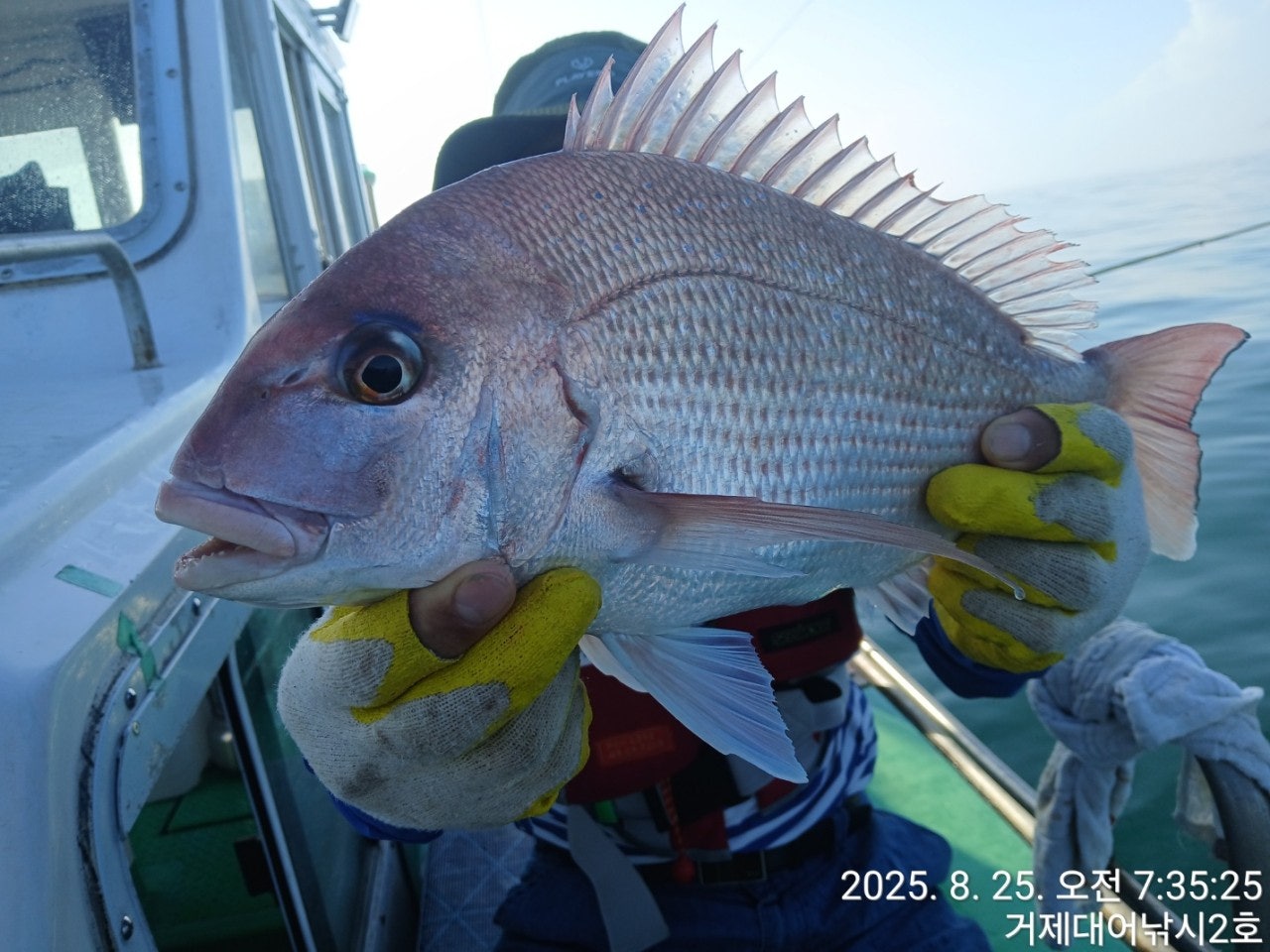 사용자가 올린 이미지