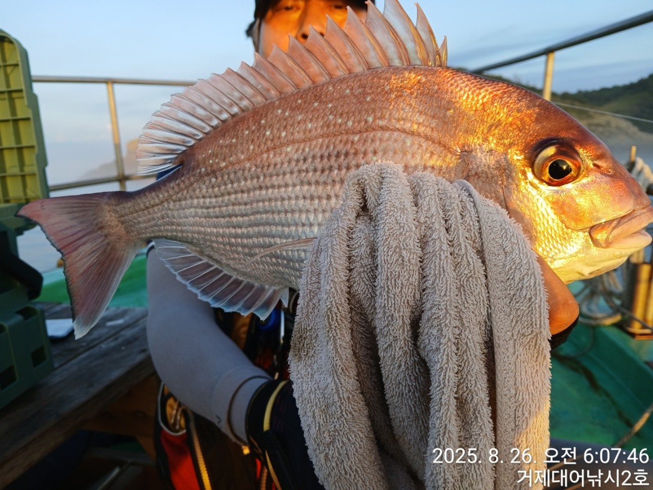 사용자가 올린 이미지