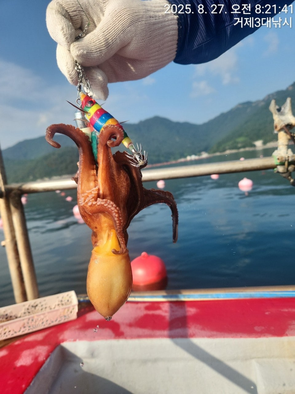 사용자가 올린 이미지