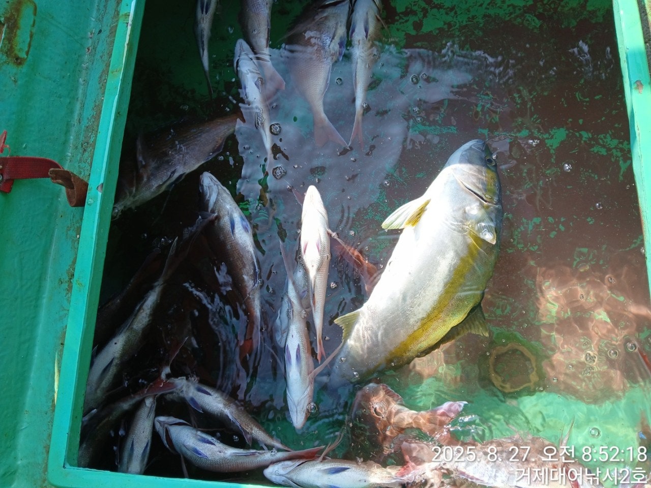 사용자가 올린 이미지