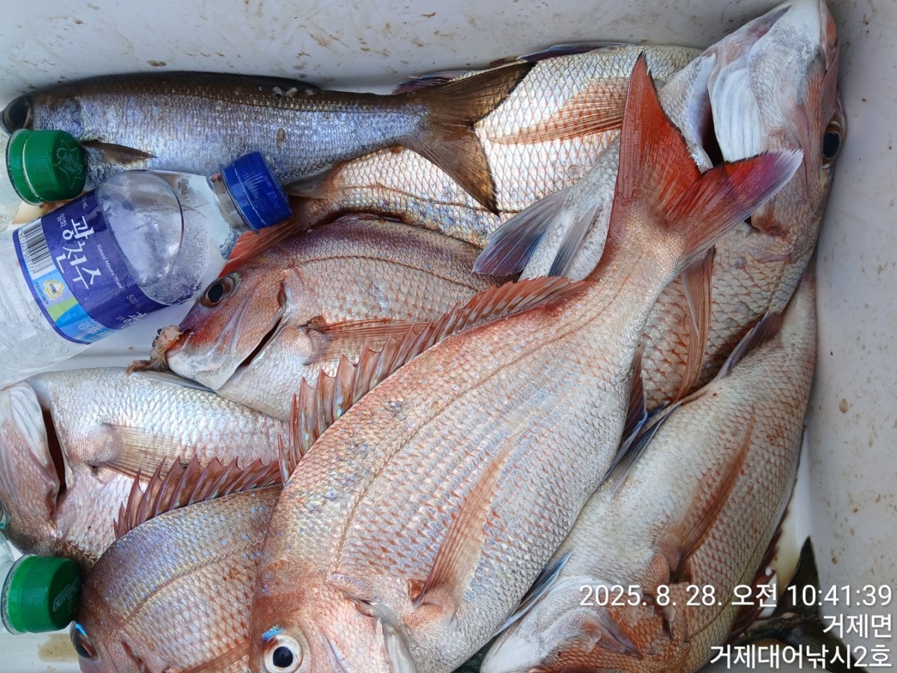 사용자가 올린 이미지