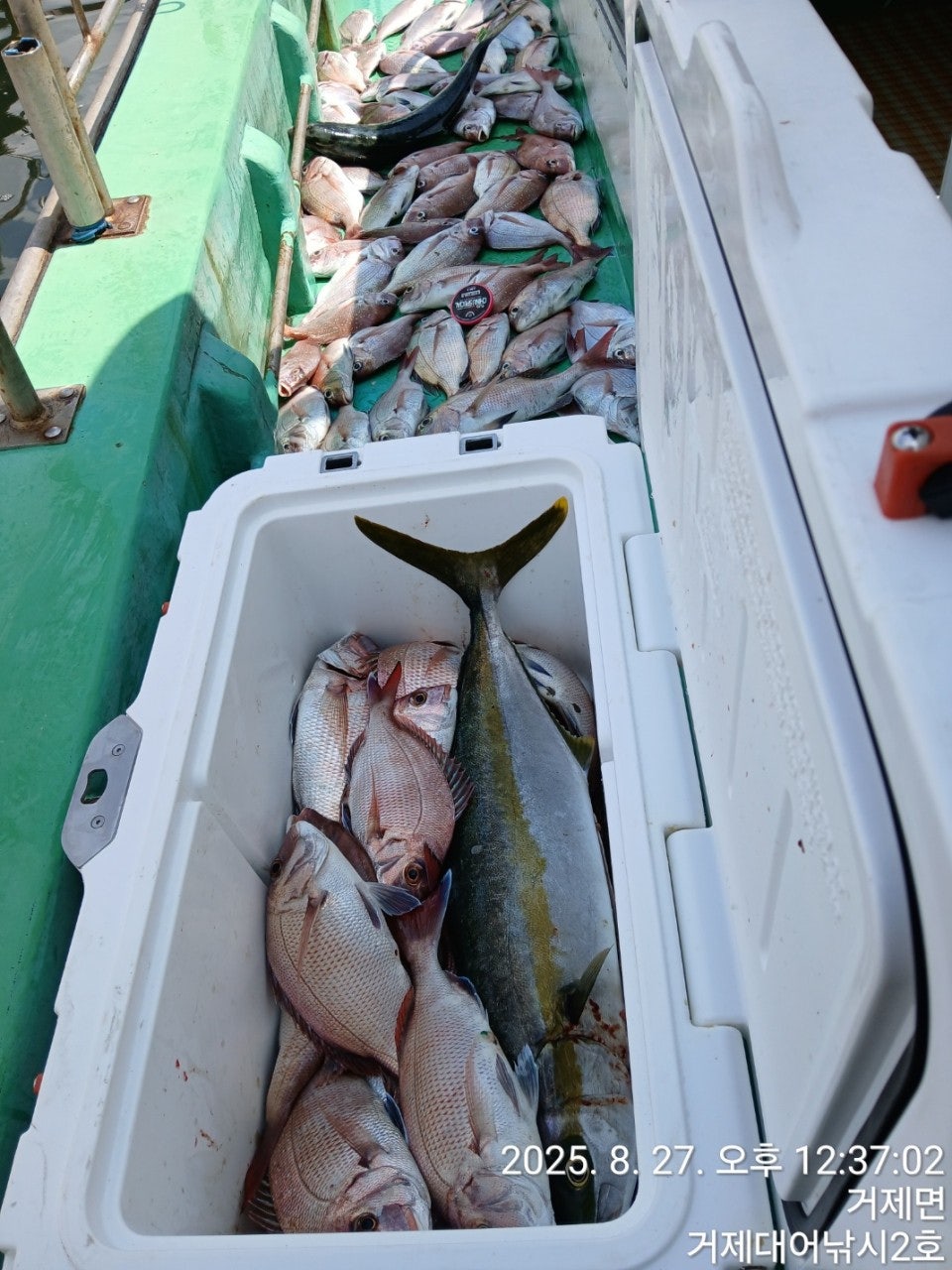 사용자가 올린 이미지