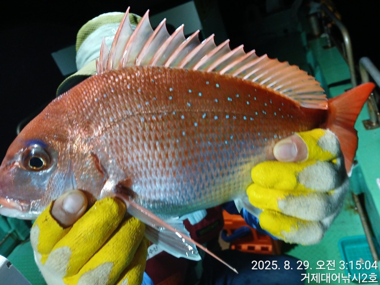 사용자가 올린 이미지