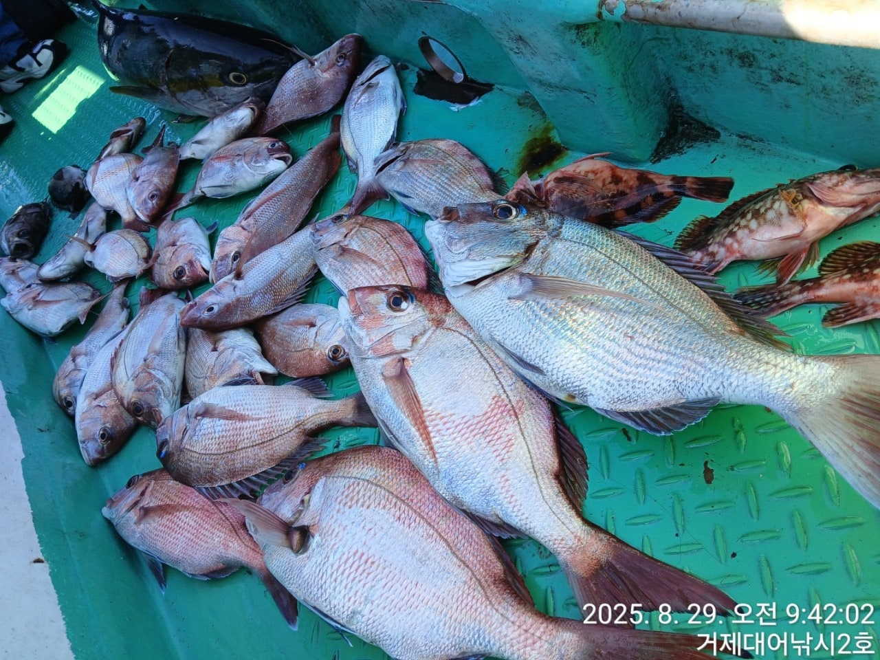 사용자가 올린 이미지