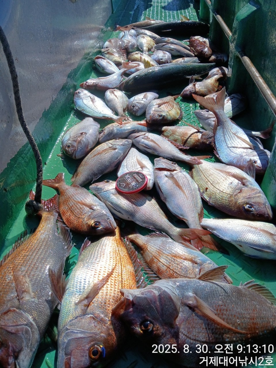 사용자가 올린 이미지