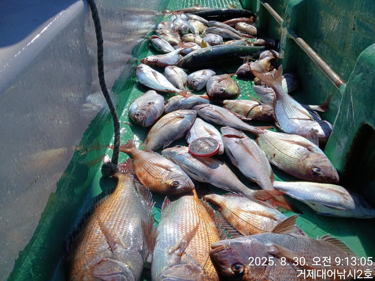 사용자가 올린 이미지