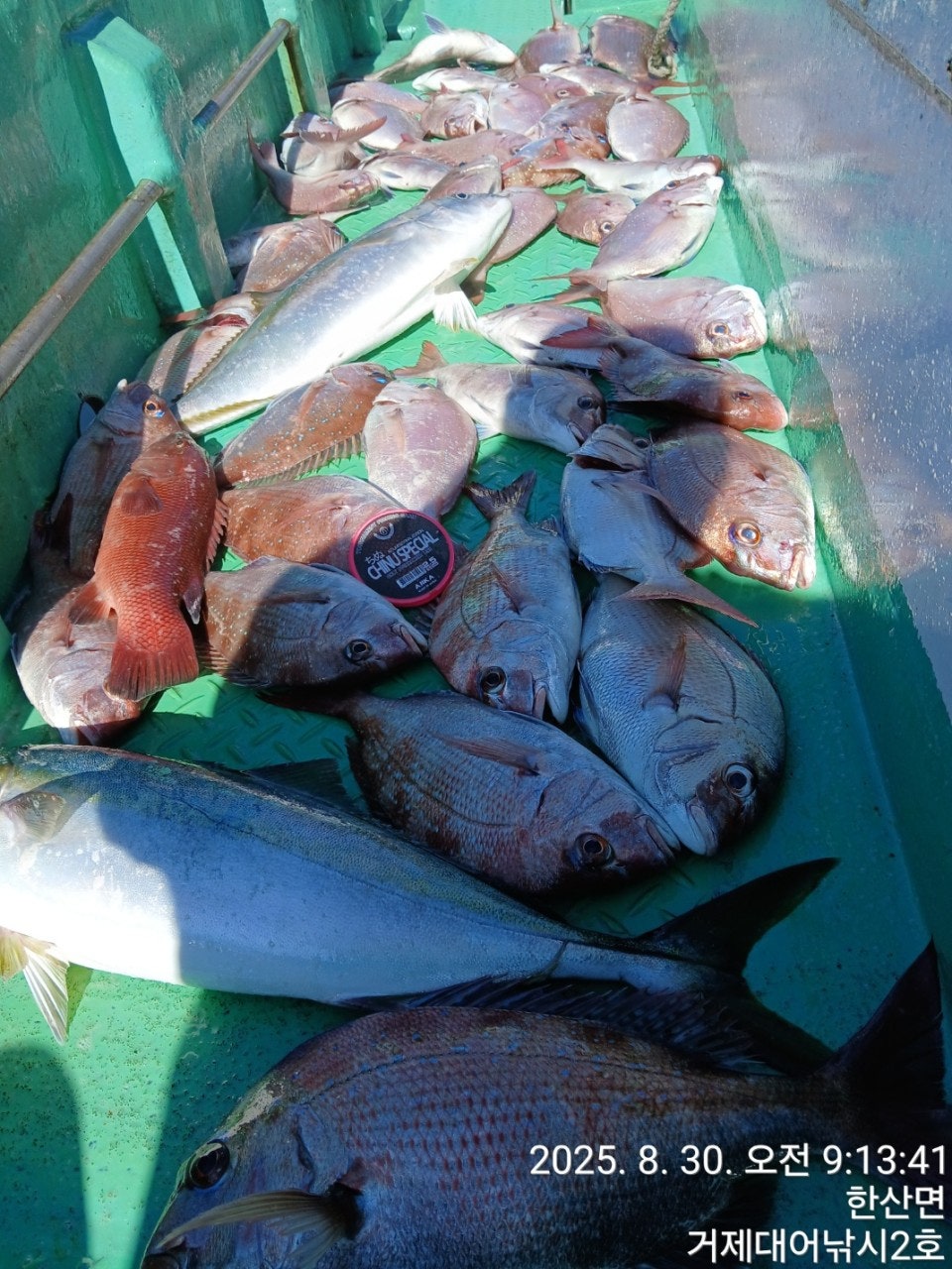 사용자가 올린 이미지